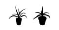 Cactus - aloe - succulent in flowerpot black silhouette Royalty Free Stock Photo