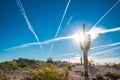 Cactus Arizona Desert Sun Royalty Free Stock Photo