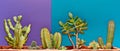 Cactus. Art Gallery Fashion Design. Minimal Stillife. Blue Mood. Trendy Bright Summer Colors. Creative Unusual Style. Concept. Det