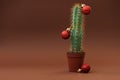 Cactus as Christmas tree with red balls on browm background. Christmas and New Year holidays celebration concept. Front view Royalty Free Stock Photo