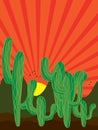 Cactus background sunray Royalty Free Stock Photo