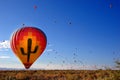 Cactus balloon Royalty Free Stock Photo