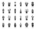 Cactus black silhouette icons succulent vector set