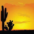 Cactus black vector in desert illustration