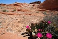 Valley of Fire State Park, Nevada Royalty Free Stock Photo