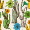 Cactus in bloom seamless pattern