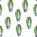 Cactus in blue pot watercolor seamless pattern