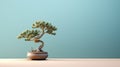 Cactus Bonsai Tree: Hyperrealistic Rendering For Minimalist Desktop Wallpaper Royalty Free Stock Photo