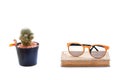 cactus, book grunge paper with orange glasses isolated on white Royalty Free Stock Photo