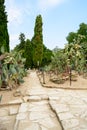 Cactus botaincal garden of Balchik Royalty Free Stock Photo