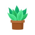 Cactus with bright green leaves in brown ceramic pot. Succulent plant for home decor. Flat vector icon of small Royalty Free Stock Photo