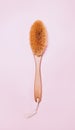 Cactus brush for skin on pink background. Top view