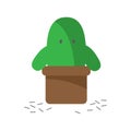 Cactus cartoon character baldness on white background