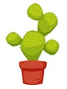 Cactus cartoon illustration