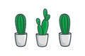 Cactus plant illustration set on white isolated backgraound