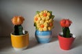 Cactus and ceramic flowers Royalty Free Stock Photo