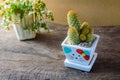 Cactus in ceramic pot and basket of flower on wooden table with Vintage Royalty Free Stock Photo
