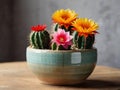 Cactus in a ceramic pot with bright flowers Royalty Free Stock Photo