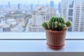 Cactus in clay pot on window edge Royalty Free Stock Photo