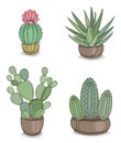 Cactus collection. Indoor potted plant in modern trendy single line style. Solid line, outline for decor, posters, stickers, logo.