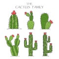 Cactus Collection Set Cartoon Style. Colorful Cute Illustration