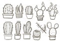 Cactus collection