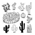 Cactus collection,Vector illustration