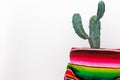 Cactus and colorful mexican poncho Royalty Free Stock Photo