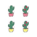 Cactus in colorful stripped flowerpots. Cacti with flowers. Regular cacti. Hygge vector collection.