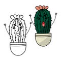 Cactus coloring book page. Cactus in pot