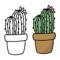 Cactus coloring book page. Cactus in a pot. Isolat Royalty Free Stock Photo