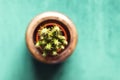 Cactus in the pot. Decorative plant in minimalistic modern room interior Royalty Free Stock Photo