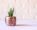 Cactus in the copper pot. Decorative plant in minimalistic modern room interior Royalty Free Stock Photo