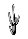 Cactus Cowboy Emblem Composition