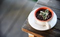 Cactus In cup On the wood