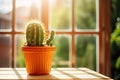 cactus in a cute clay pot in bright sunlight on a window sill