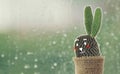 Cactus with cute face cartoon on a rainy day with water drop