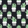 Cactus in cute pots seamless pattern on black background. Royalty Free Stock Photo