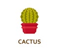 Cactus. Decorative houseplant in pot. Florist indoor tree or interior flowerpot. Vector illustration