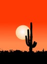Cactus in desert Royalty Free Stock Photo