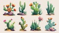 Cactus, desert cacti flowers stetsonia, carnegia, selenicereus, and rhipsalidopsis, with a saguaro or opuntia, cartoon