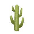 cactus desert cartoon vector illustration Royalty Free Stock Photo