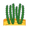 Cactus desert color line icon. Type of cacti. Grow in extremely dry environments. Pictogram for web page, mobile app, promo. UI UX