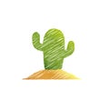 Cactus, desert plant, prickly plant, thorny, spiny. Plant nature