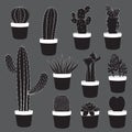 Cactus and Desert Plants Collection