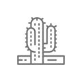 Cactus, desert tree line icon.