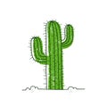 Cactus in desert. Vector hand-drawn cartoon style illustration isolated on white background Royalty Free Stock Photo