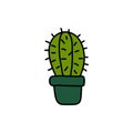 Cactus doodle icon