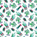 Cactus doodle illustration on white background. Green plants pattern tile.