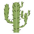 cactus dry plant Royalty Free Stock Photo